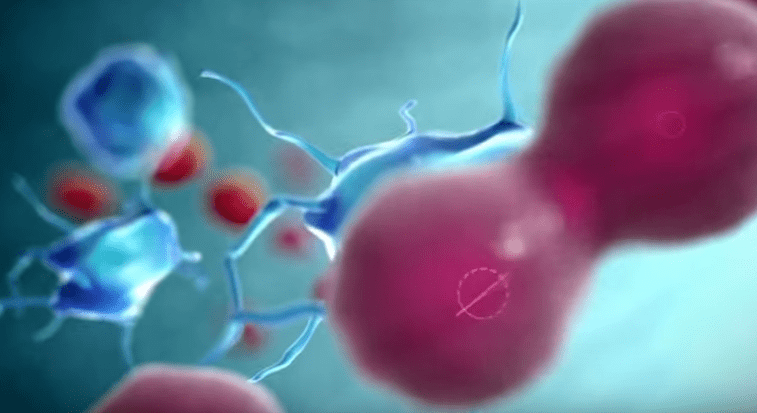 Stimolazione immunitaria