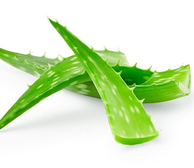 Aloe per il trattamento dei papillomi